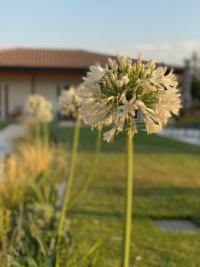 Agriturismo Pepe Rosa Rivoli Veronese Ngoại thất bức ảnh
